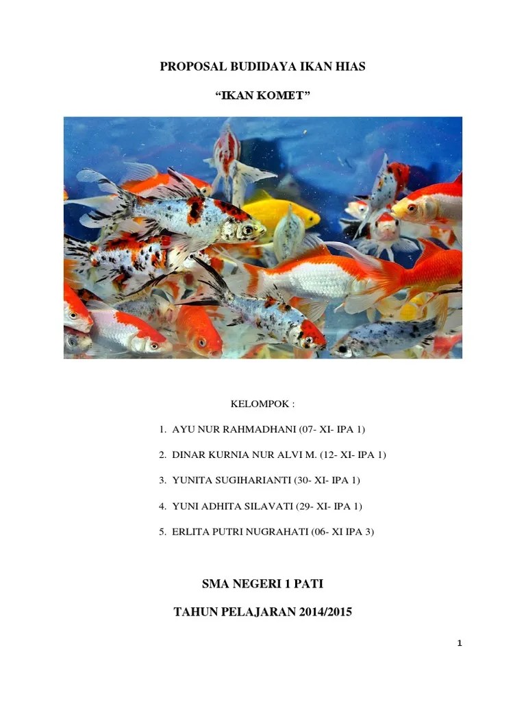 Pengembangan budidaya ikan kerapu (groupe/trout) dengan karamba jaring apung (kja) menjadi alternatif. Contoh Proposal Usaha Budidaya Ikan Hias - Berbagi Contoh