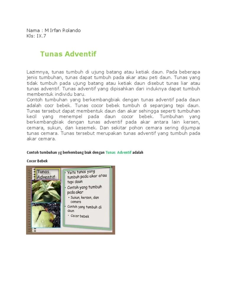 IPA Tunas Adventif | PDF