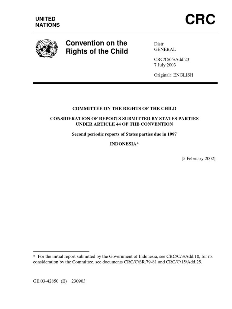 Convention On The Rights Of The Child | PDF | Children's Rights ...
