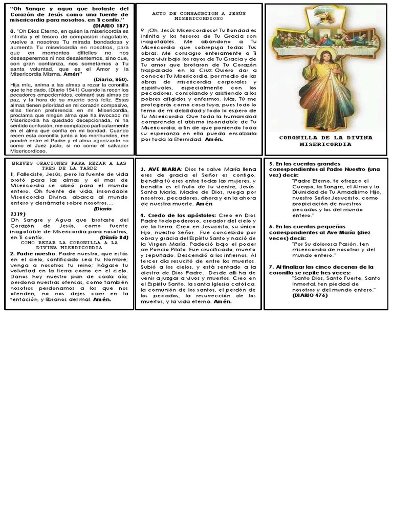 Novena Divina Misericordia | PDF | María, Madre De Jesús | Orador Del Señor