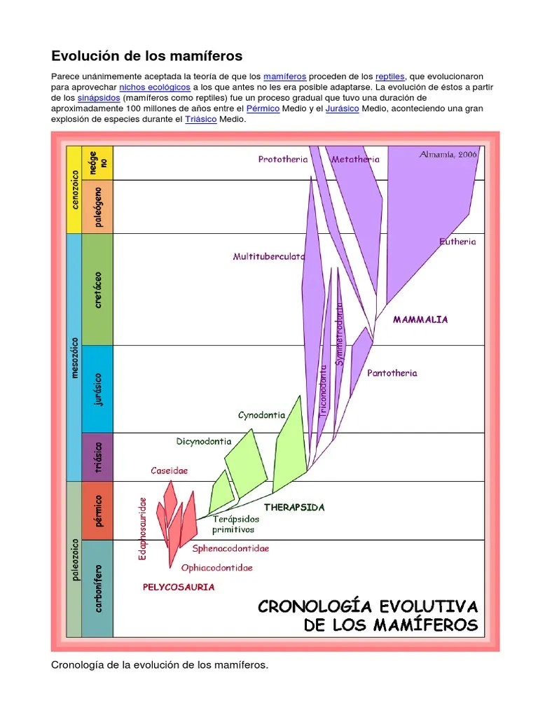 Evolución De Los Mamíferos | PDF | Mamíferos | Naturaleza