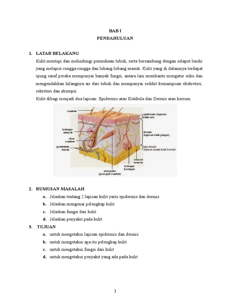 Jelaskan Fungsi Kulit - Gambar Alat Musik
