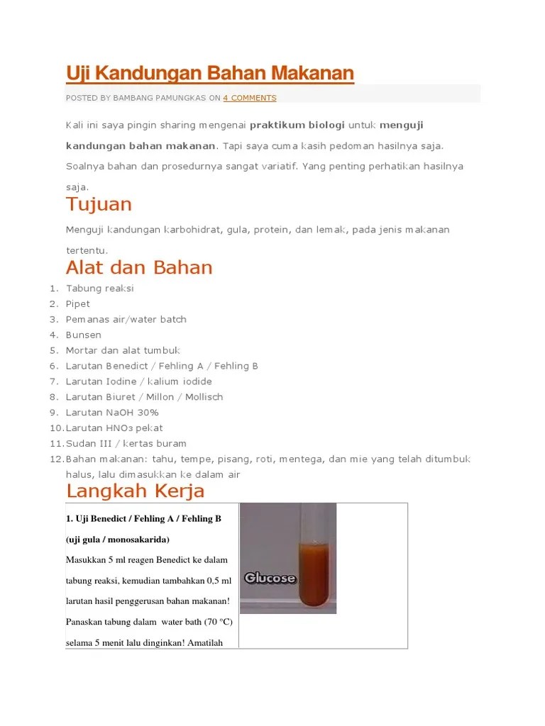 Uji Kandungan Bahan Makanan | PDF