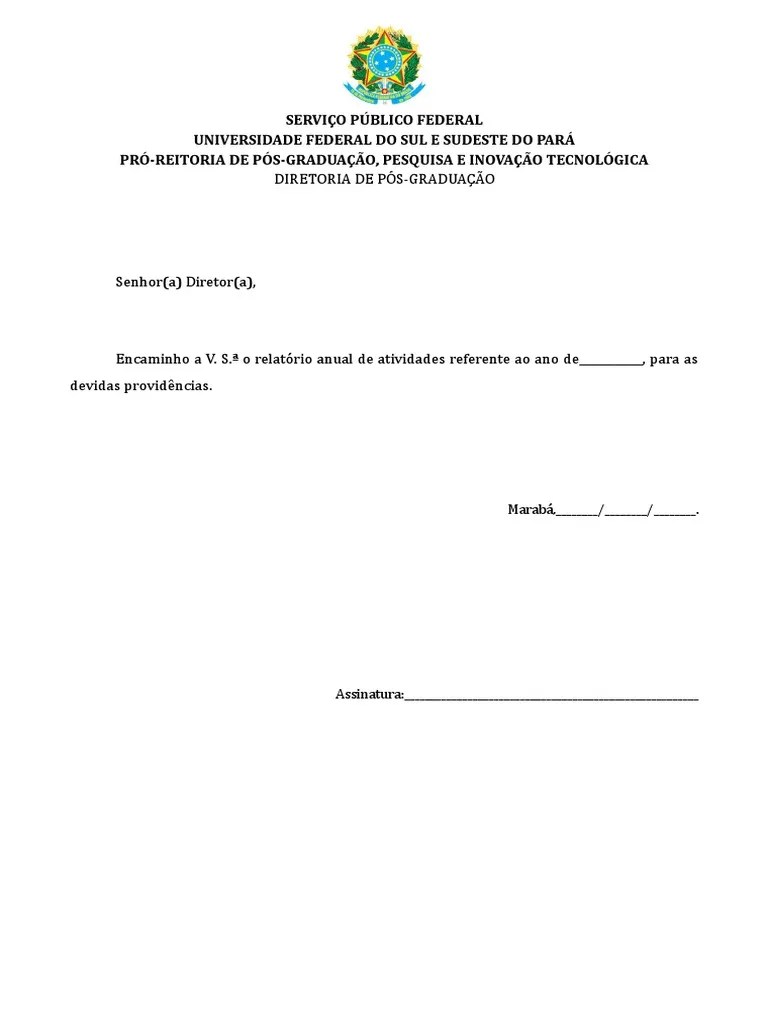 Modelo De Relatorio Anual De Atividades | PDF | Pós-graduação | Academia