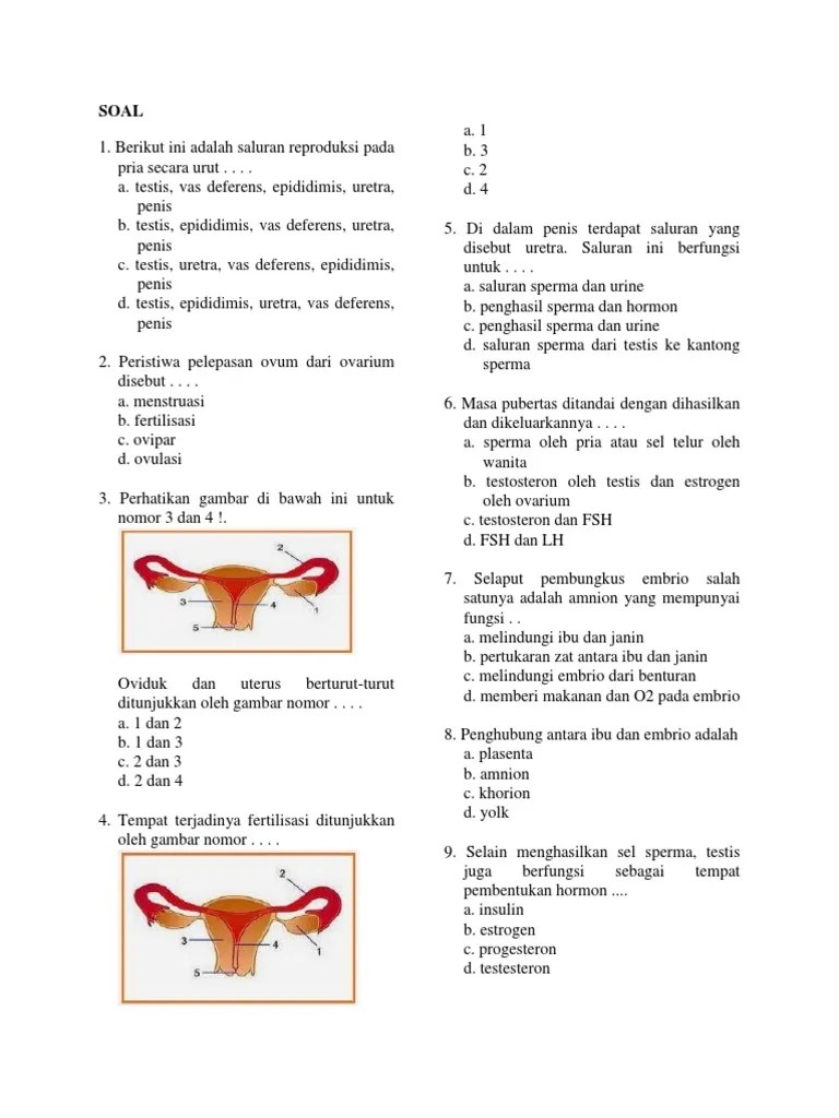 SOAL Bio SMP 9 | PDF