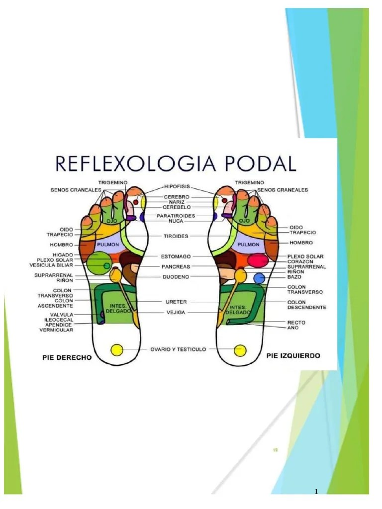 Reflexologia Podal | PDF | Reflexología | Masaje