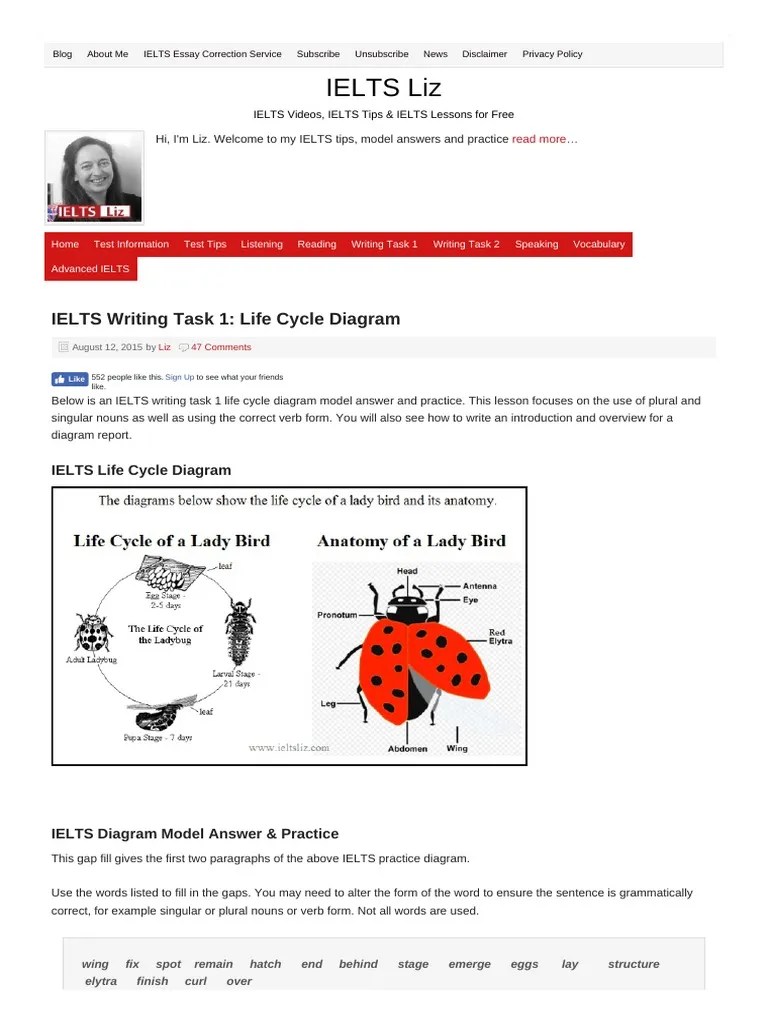 Ielts Writing Task 2 Simon PDF | PDF | International English Language Testing System | Pupa