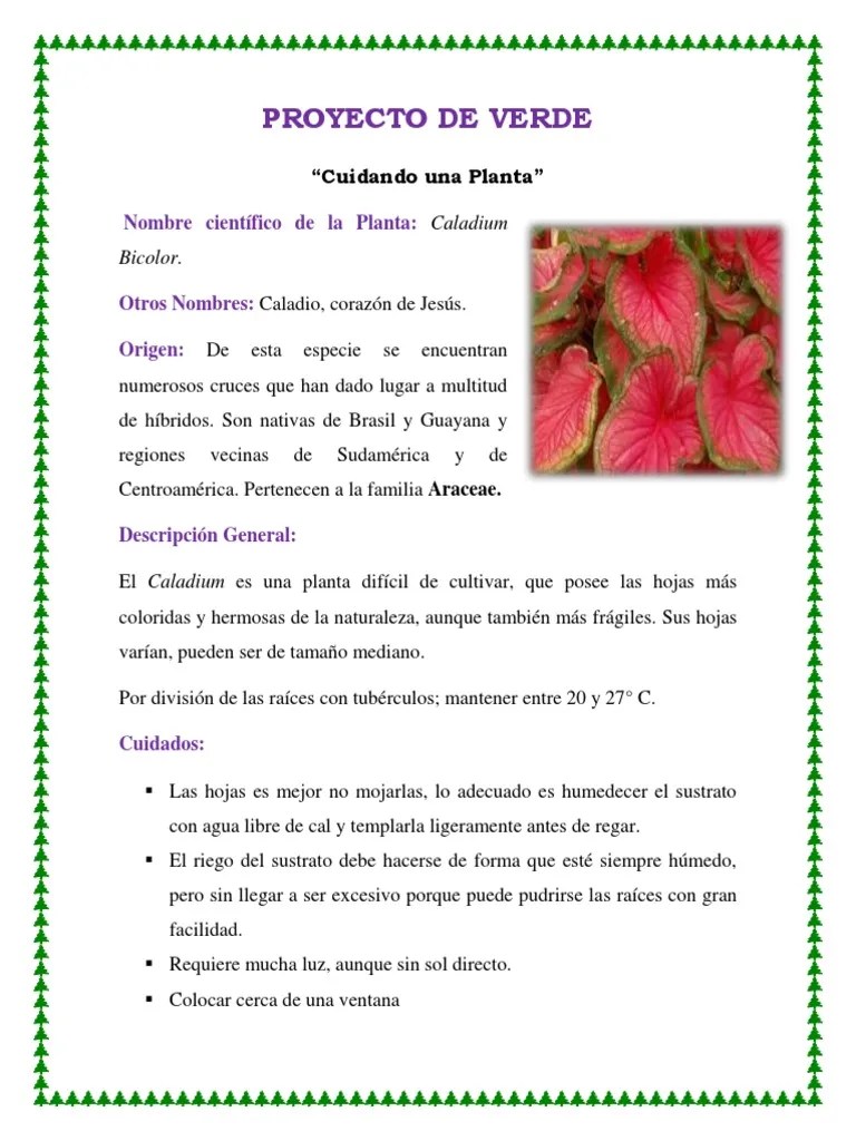 Corazon De Jesus | PDF