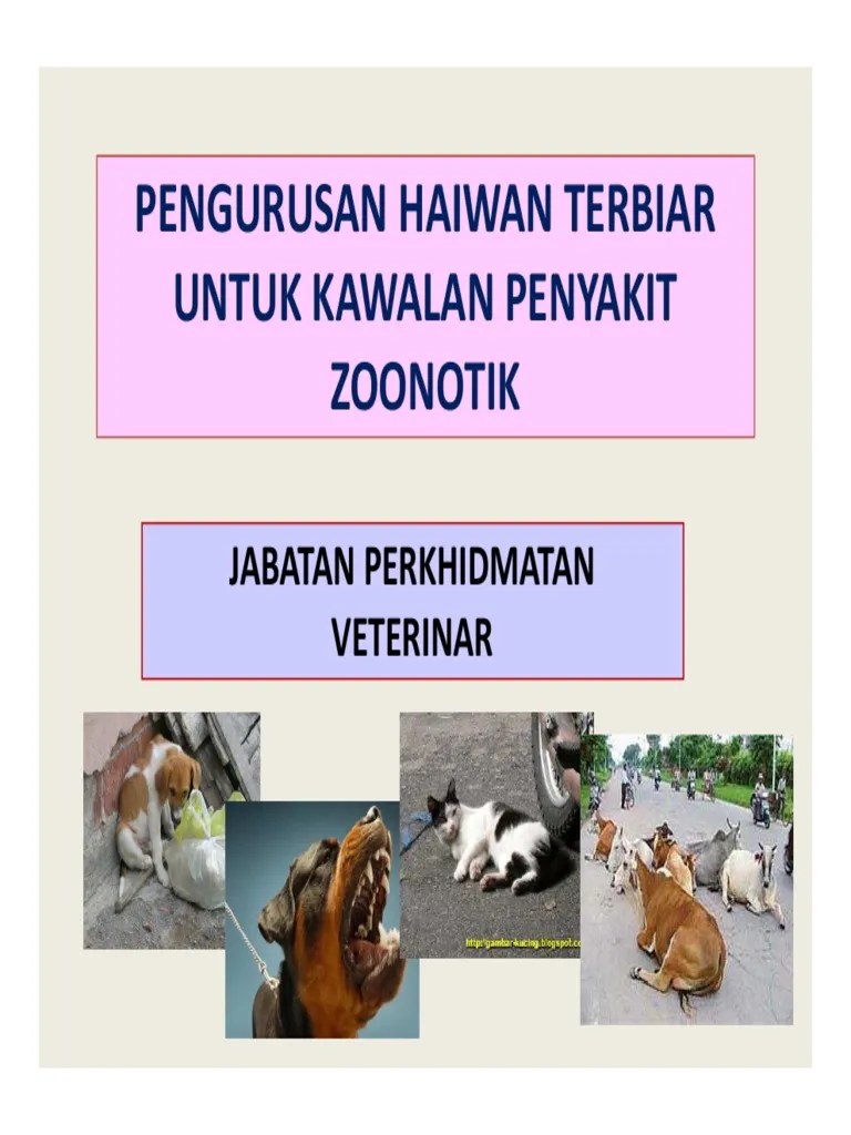 Anjing liar