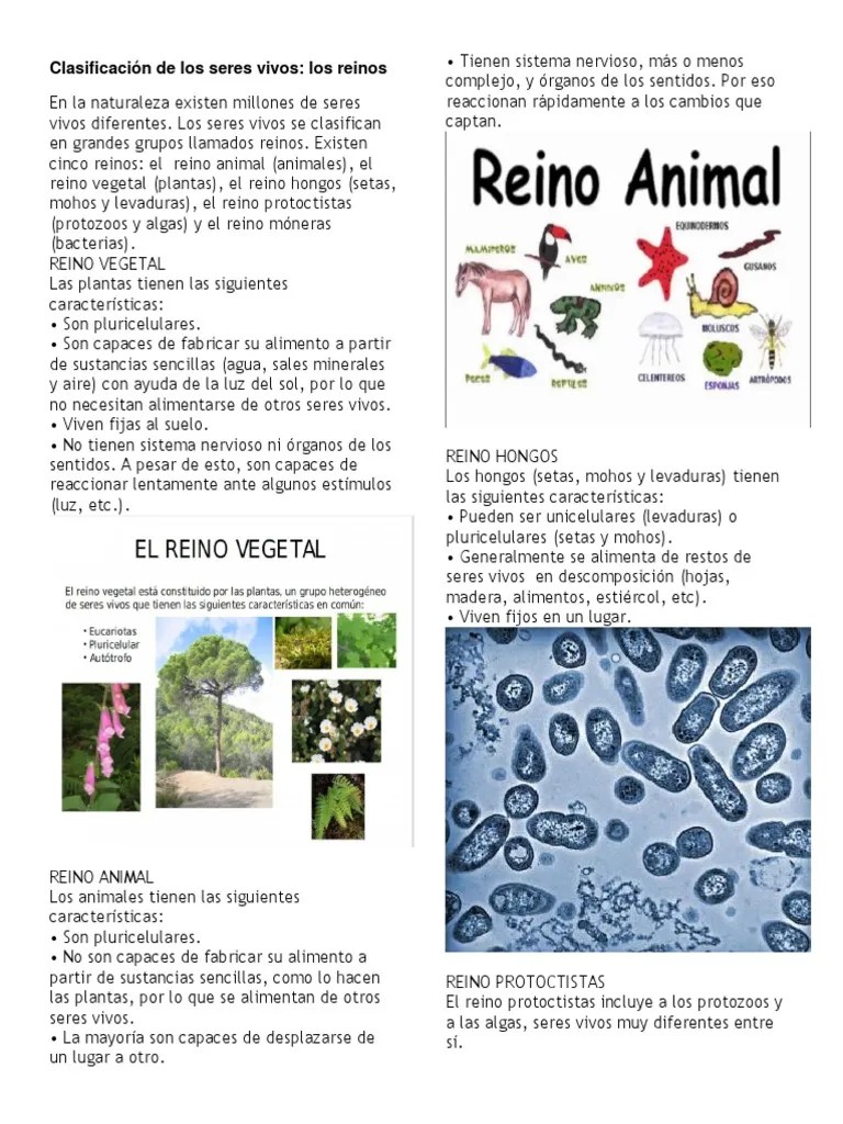 Clasificación De Los Seres Vivos | PDF | Plantas | Algas