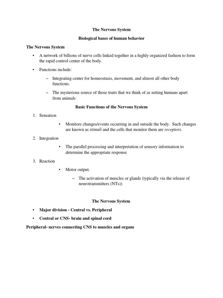 Nervous System | PDF | Neurotransmitter | Neuron