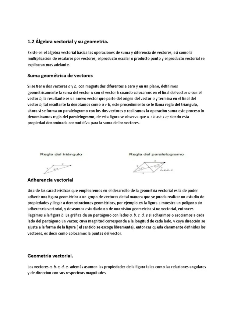 1.2 Algebra Vectorial Y Su Geometria | PDF | Vector Euclidiano | Espacio Vectorial