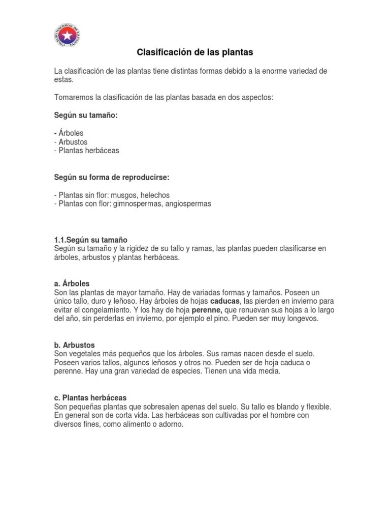 Clasificación De Las Plantas | PDF | Plantas | Arboles