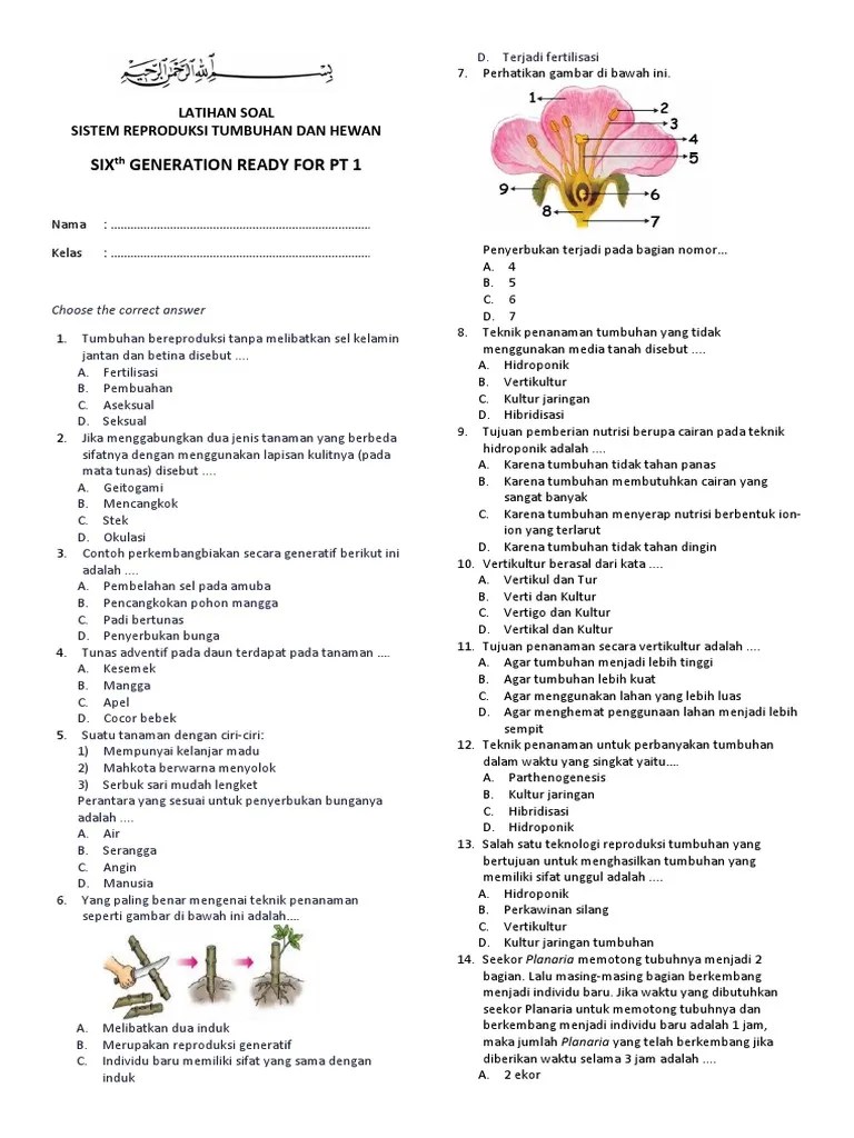 Soal Perkembangbiakan Tumbuhan Dan Hewan – Belajar