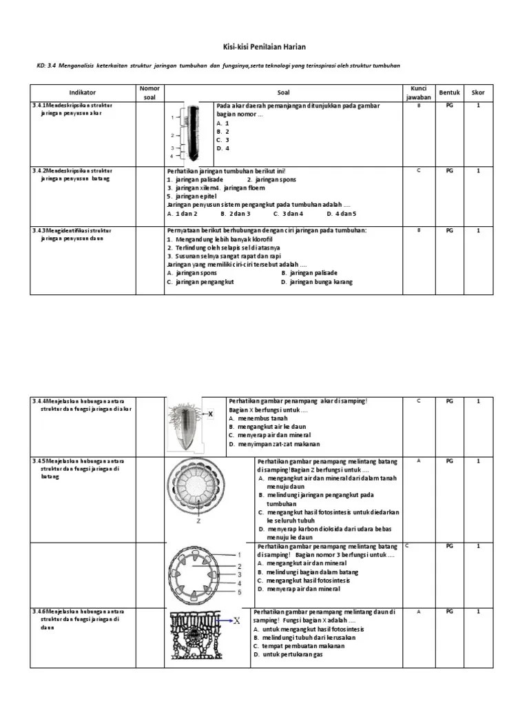 Pembahasan soal biologi xi bab jaringan tumbuhan uji kompetensi. Download Soal Ipa Kelas 8 Materi Struktur Dan Fungsi Tumbuhan Beinyu Com