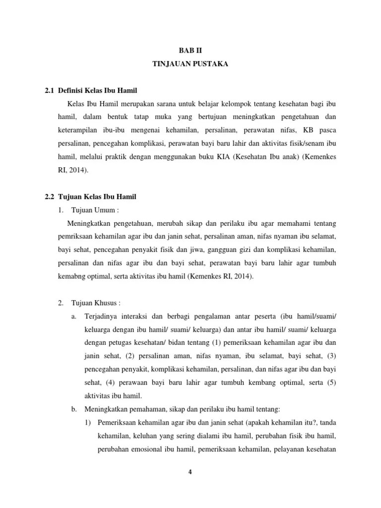 Bab 2 Kelas Ibu Hamil | PDF