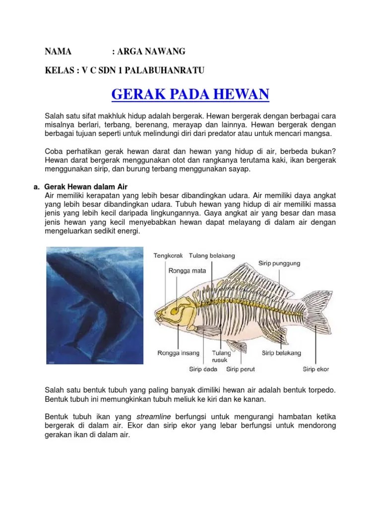Gerak Hewan | PDF