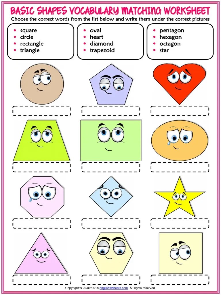 3d shape vocabulary worksheet