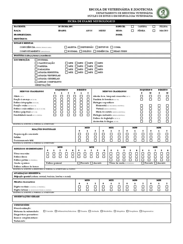 Ficha Exame Neurologico V3