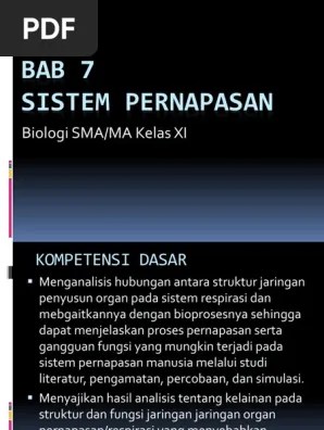 Otot sekat rongga dada mendatar, volume rongga dada membesar, udara masuk. Bab 7 Sistem Pernapasan Pdf