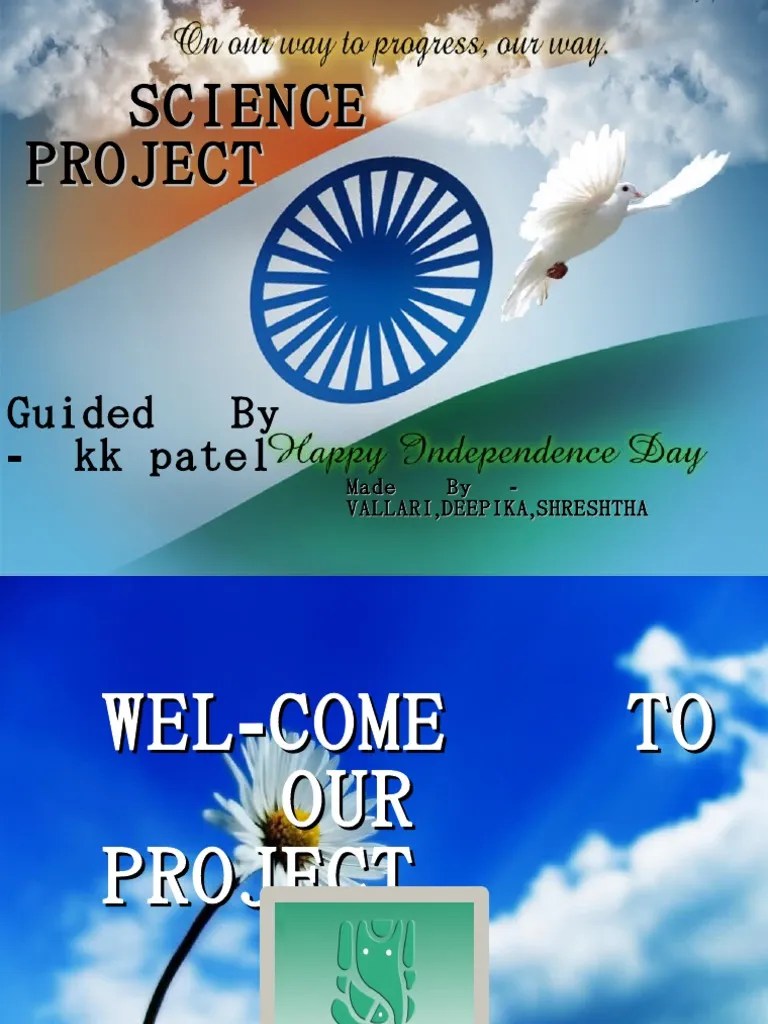 First Aid | PDF | First Aid | Cardiopulmonary Resuscitation