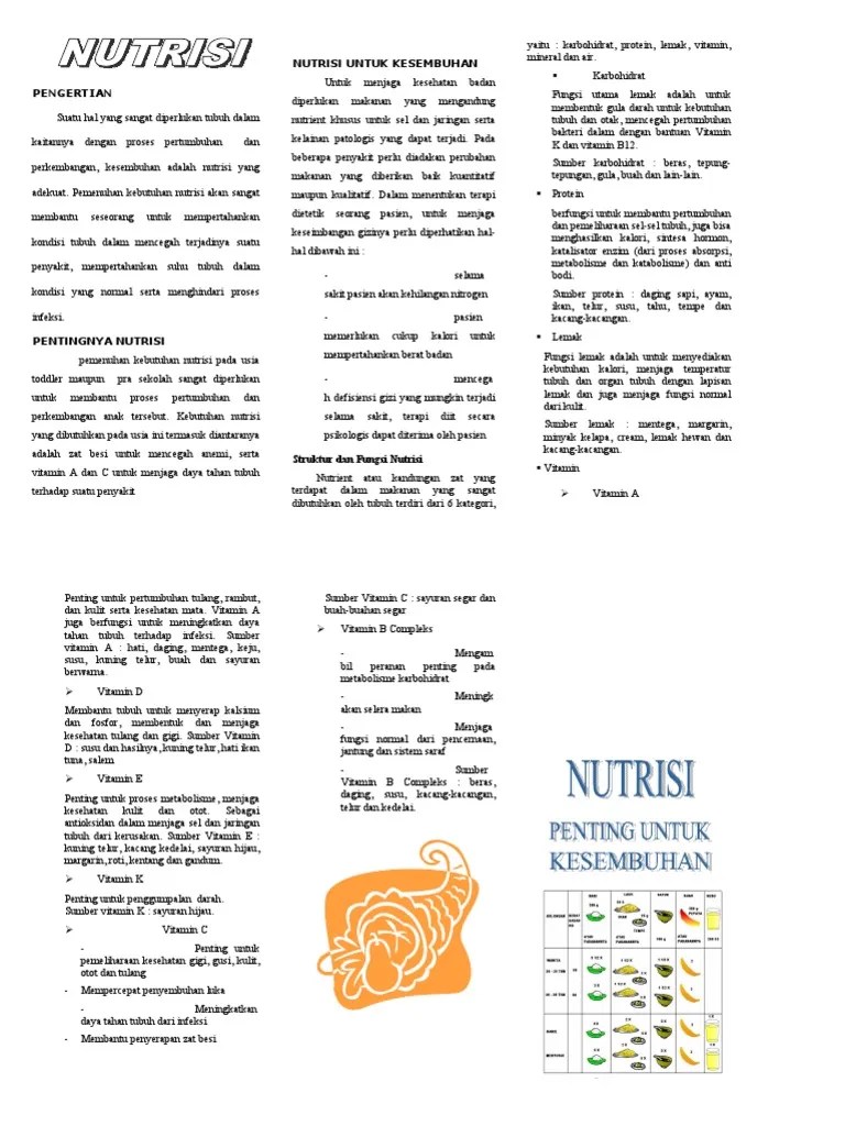 Leaflet Nutrisi | PDF