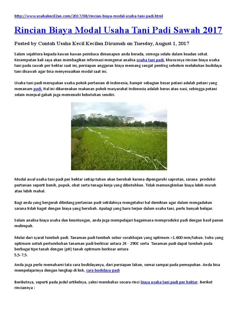 Analisa Usaha Tani Padi Jagung | PDF