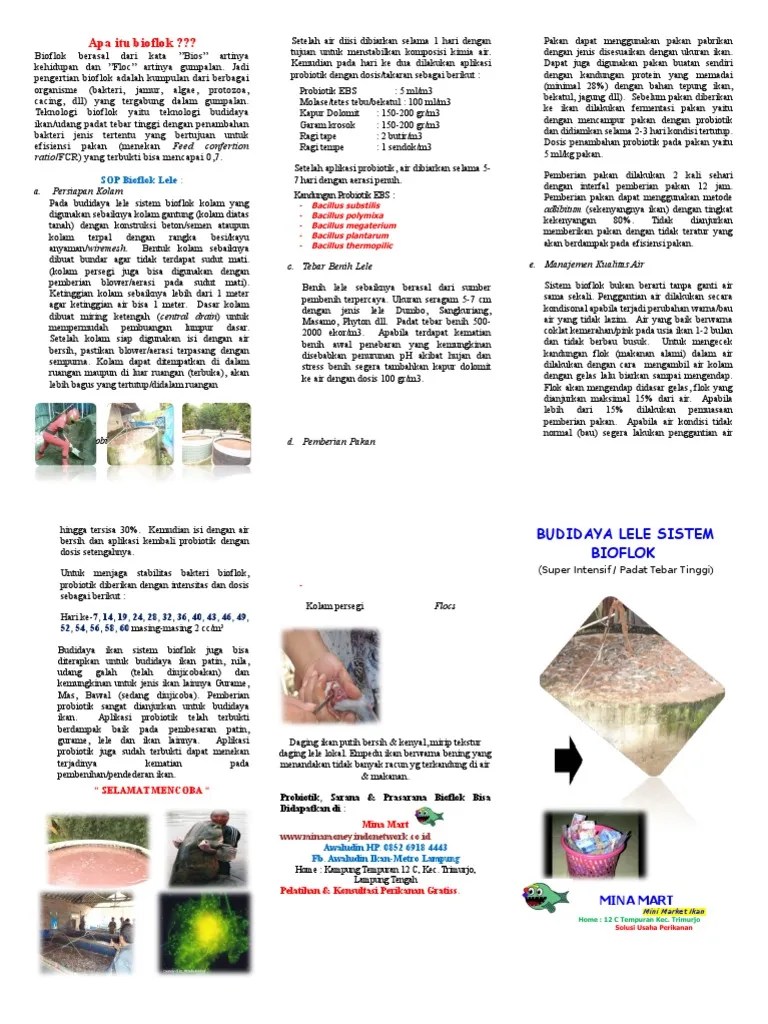 Leaflet Biofloc | PDF