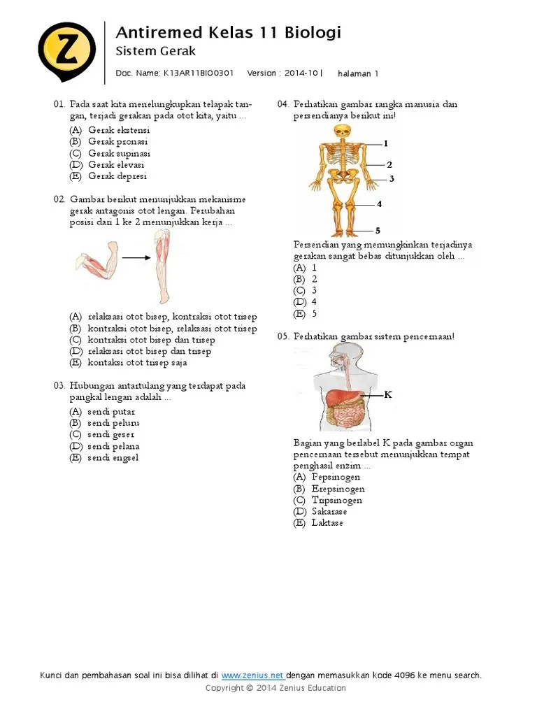 Biologi Gerak | PDF
