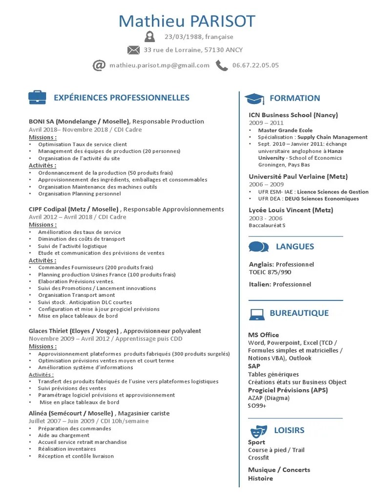 CV Mathieu PARISOT Gestionnaire Des Flux | PDF | Logistique | Business