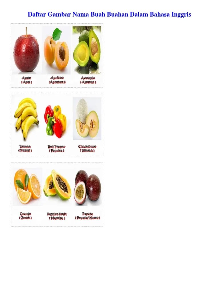 Maybe you would like to learn more about one of these? Daftar Gambar Nama Buah Buahan Dalam Bahasa Inggris Pdf
