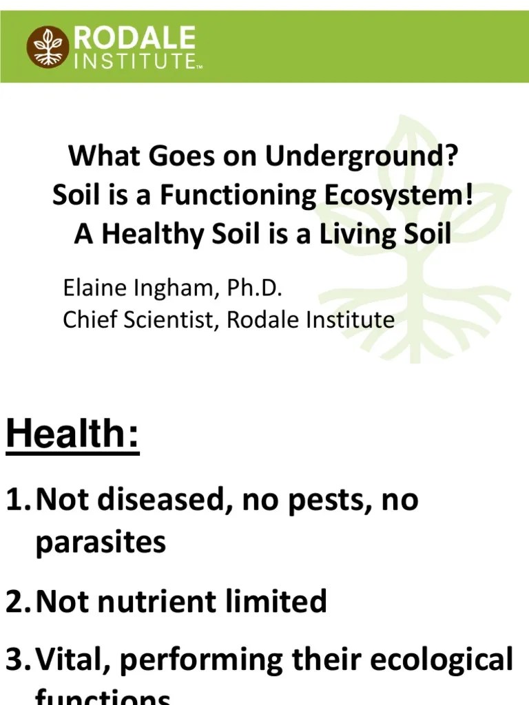 Elaine Ingham Speech | PDF | Nutrients | Soil