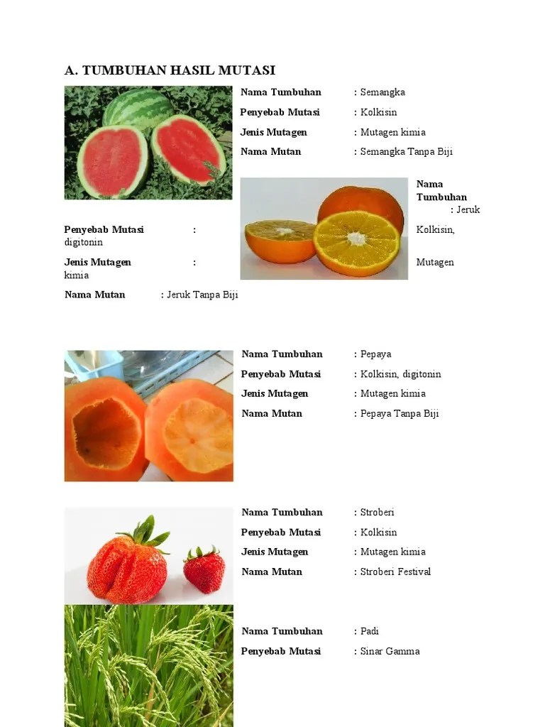 Mutasi Pada Hewan Dan Tumbuhan | PDF