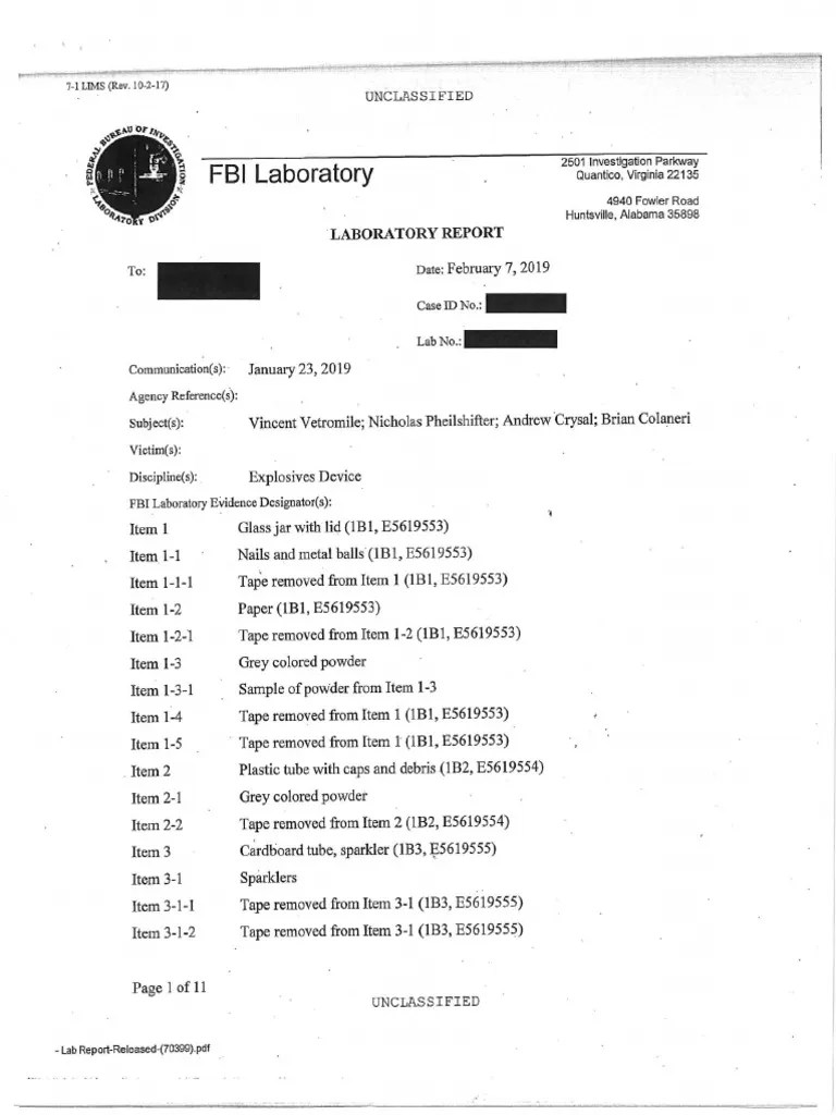 FBI Report | PDF