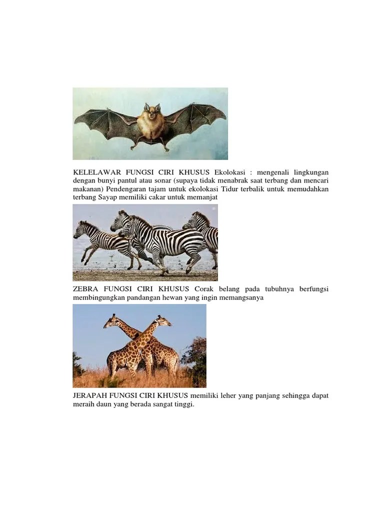 Ciri Ciri Hewan-Kliping | PDF