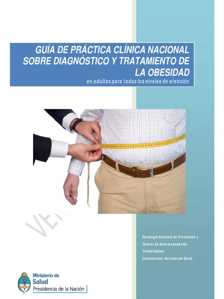 Guia Obesidad PDF | PDF | Obesidad | Índice De Masa Corporal