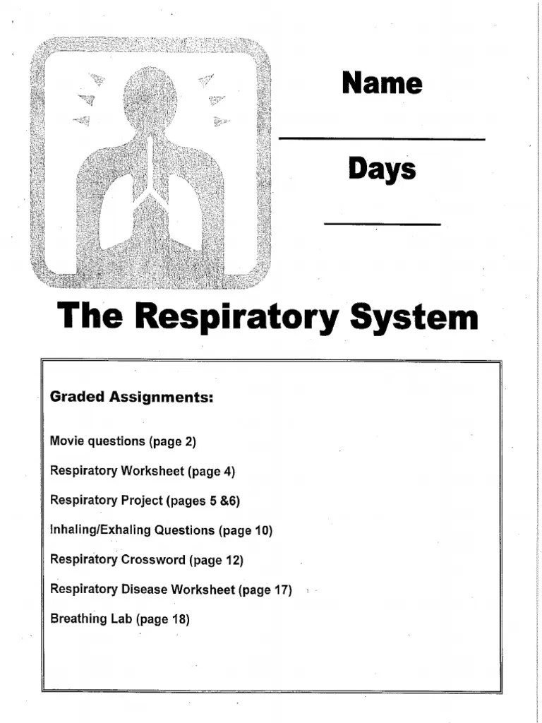 How does the respiratory system defend itself? Respiratory System Packet 14 Pdf Pdf