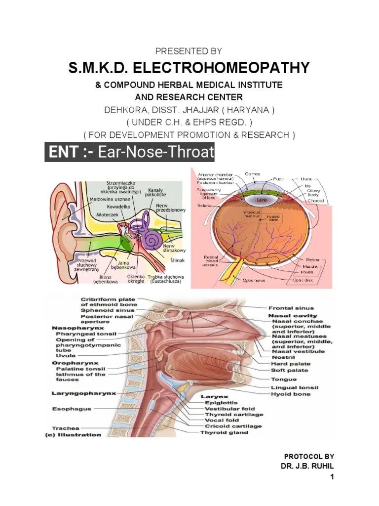 ENT - Ear-Nose-Throat PDF | PDF | Diseases Of The Eye And Adnexa | Senses