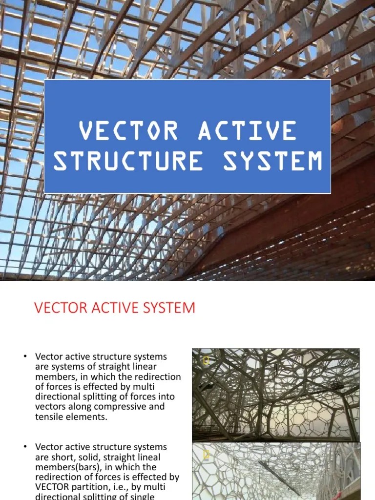 Vector Active Structure System | PDF