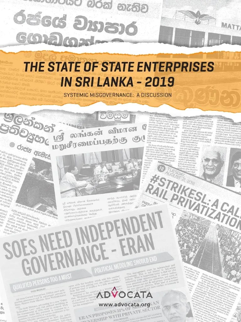 The State Of State Enterprises 2019 | PDF | State Owned Enterprise | Corporate Governance