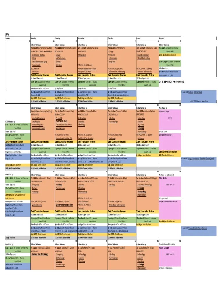 Step 1 Study Schedule - 4 | PDF | Medical Specialties | Clinical Medicine