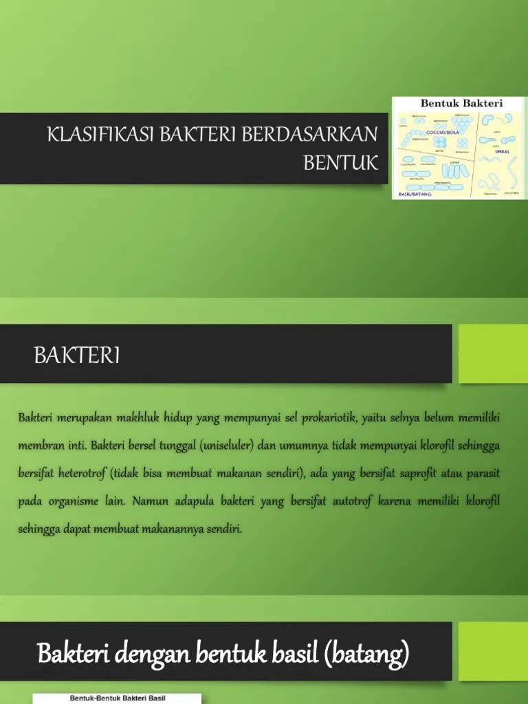 Klasifikasi Bakteri Berdasarkan Bentuk | PDF
