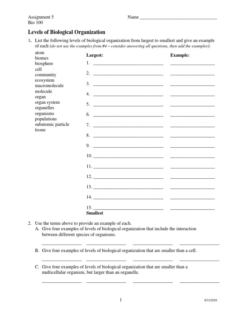 Levels of organization worksheet