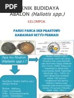 ABALON Rama Pandu | PDF