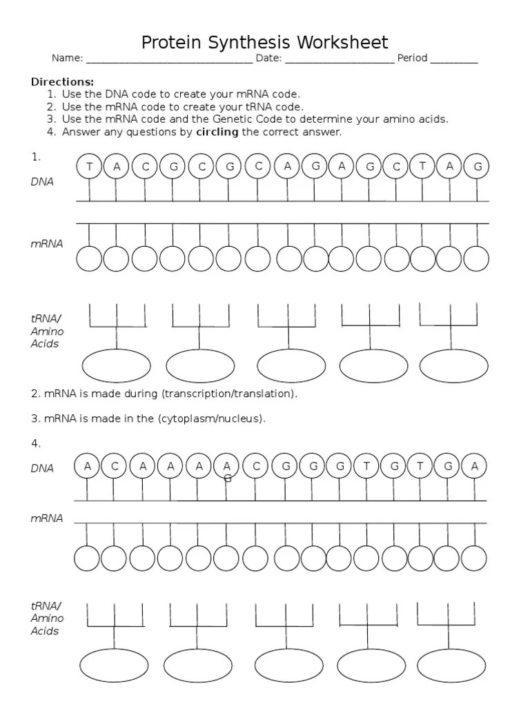 This section describes rna and its role in transcription and translation. Visual Protein Synthesis Worksheet Pdf Translation Biology Messenger Rna