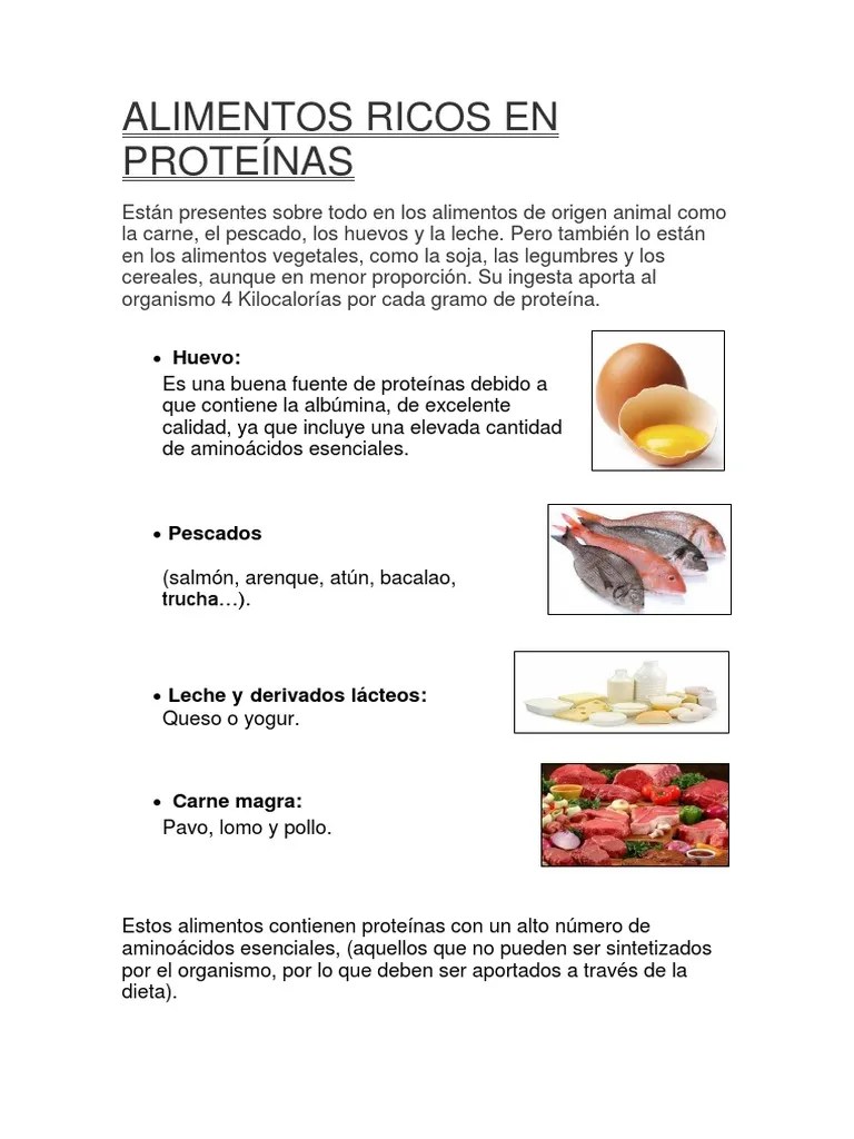 Alimentos Ricos En Proteinas | PDF