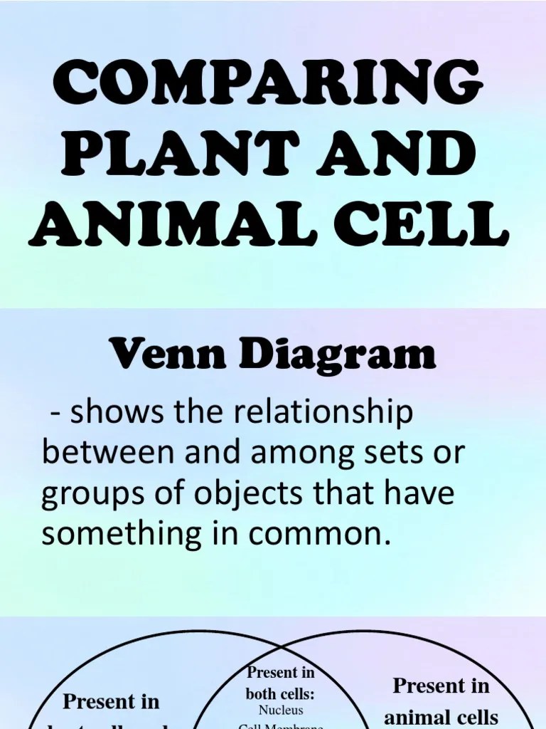 00:09:14.23 and a venn diagram of that distribution is shown in the next slide. Comparing Plant And Animal Cell