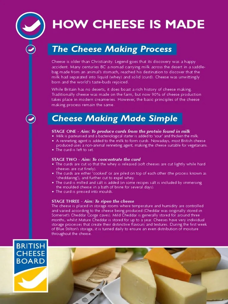 How Cheese Is Made: The Cheese Making Process | PDF | Cheese | Cheesemaking