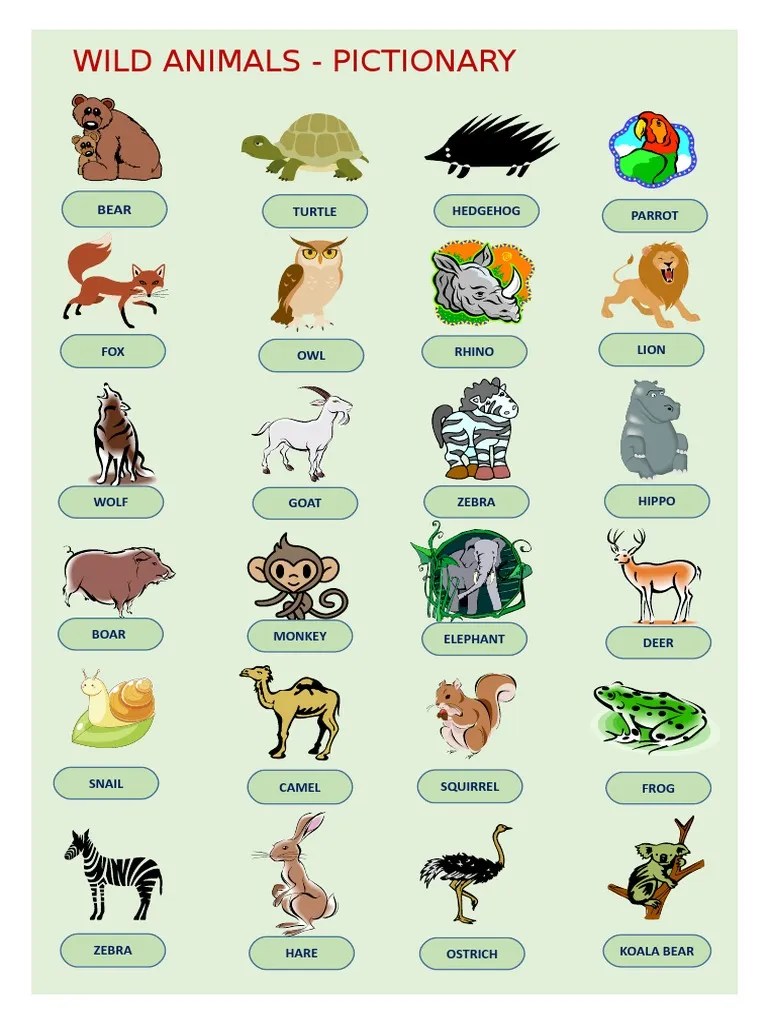 Wild Animals Pictionary - 72106 | PDF