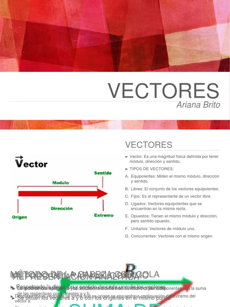 Vectores | PDF | Vector Euclidiano | Multiplicación
